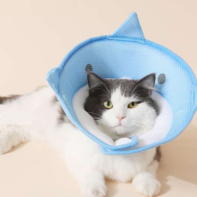 猫服 猫 エリザベスカラー | ペット用快適通気性保護カラー