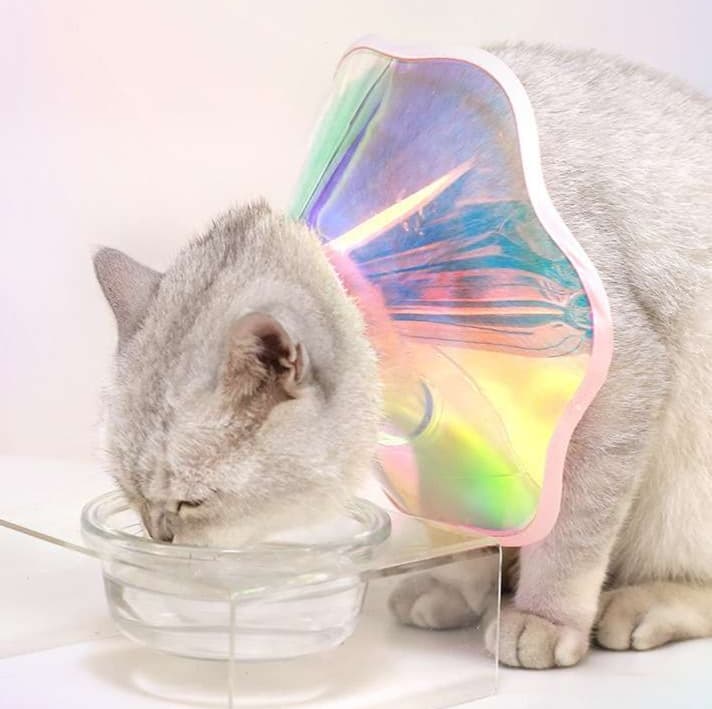 猫服 猫 エリザベスカラー | 虹色ふんわりエリザベスカラー