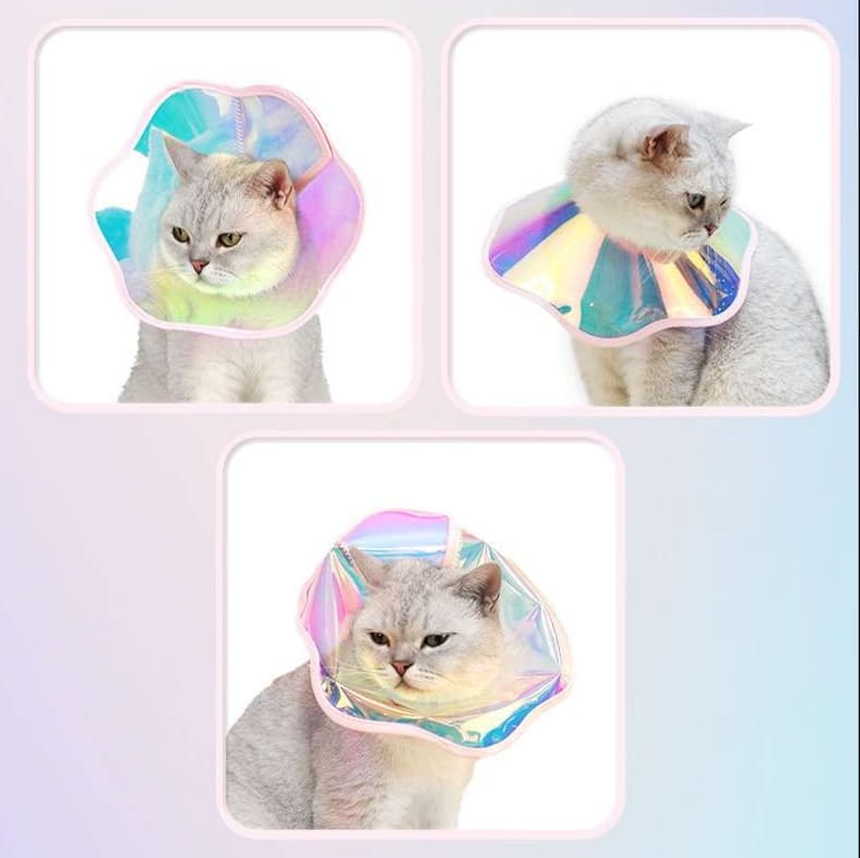 猫服 猫 エリザベスカラー | 虹色ふんわりエリザベスカラー