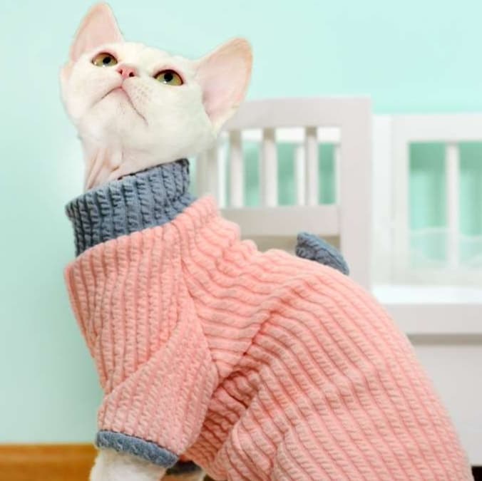 猫服  術後服 | もふもふ包み込む癒しの術後服