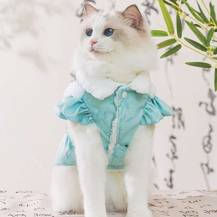 猫服  防寒服 | ふわもこ猫ちゃんの優雅な術後服