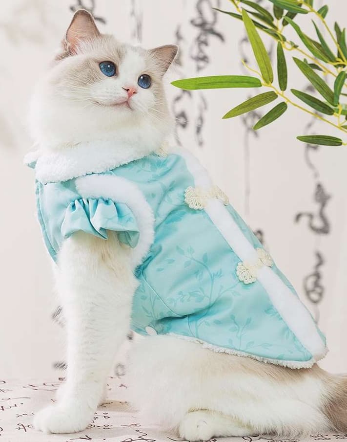 猫服  防寒服 | ふわもこ猫ちゃんの優雅な術後服