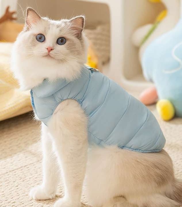 猫服  防寒服 | ふわもこ猫用術後服ベスト