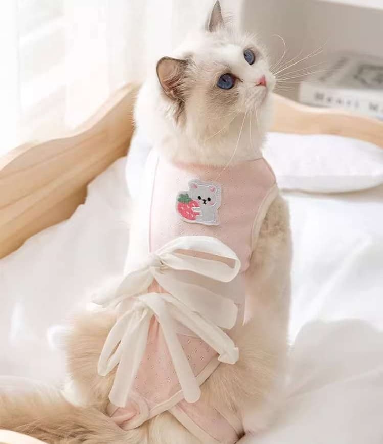 猫服  洋服 | もふもふ猫ちゃんの安心術後服