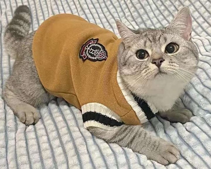 猫服  防寒服 | やわらか猫用術後服