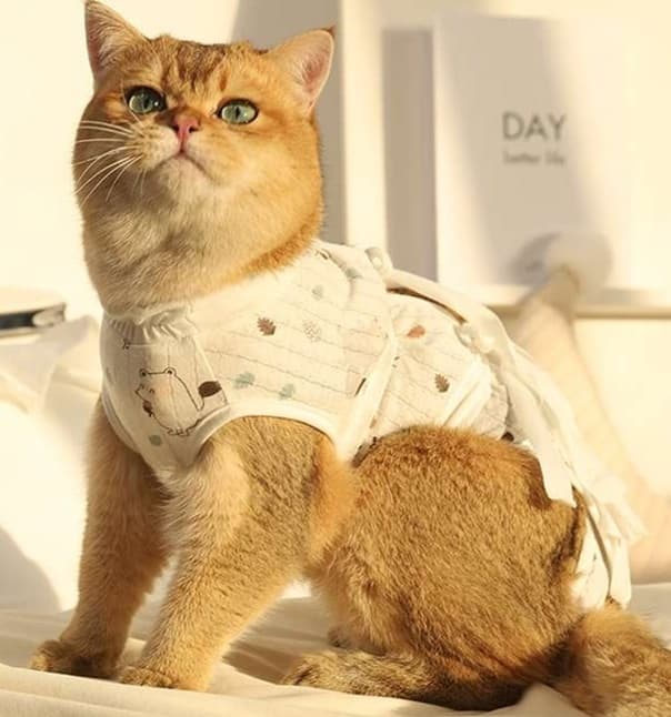 猫服  術後服 | やすらぎ猫ちゃんの回復服
