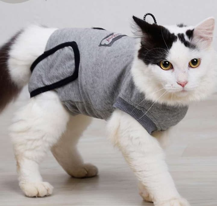 猫服  術後服 | もふもふ安心術後ウェア
