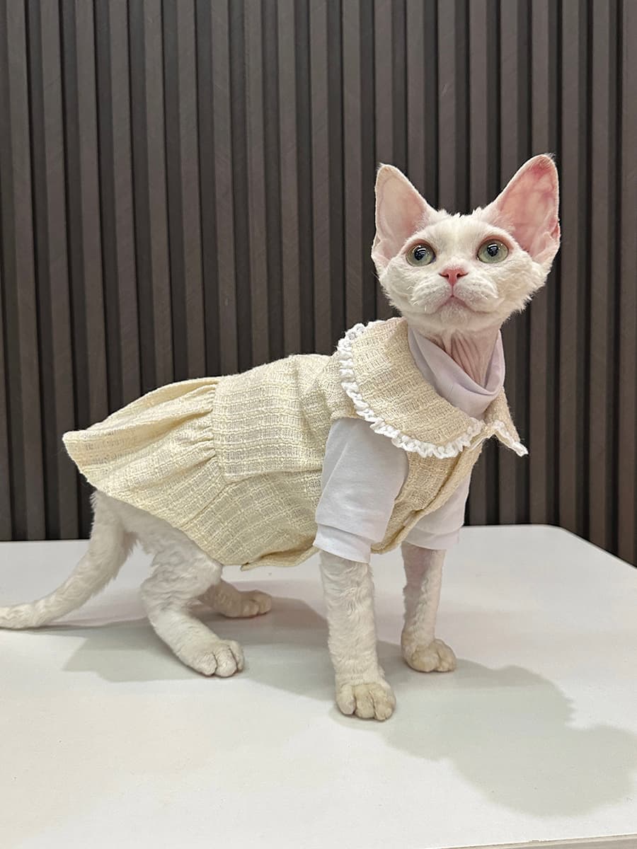 猫服  洋服 | うさぎの耳フリルワンピース