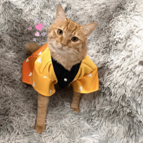 猫服  コスプレ | 鬼滅の刃風デザインの