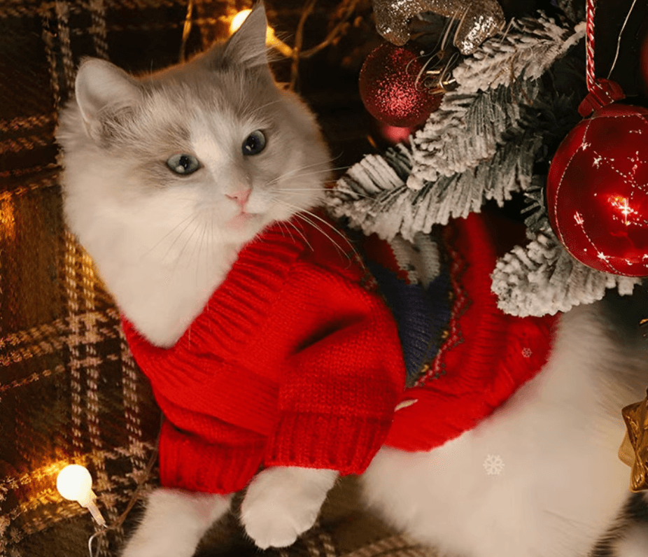 猫服  防寒服 | サンタデザイン猫用クリスマスセーター