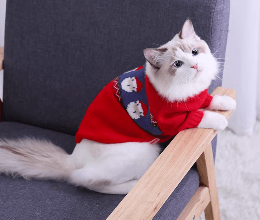 猫服  防寒服 | サンタデザイン猫用クリスマスセーター
