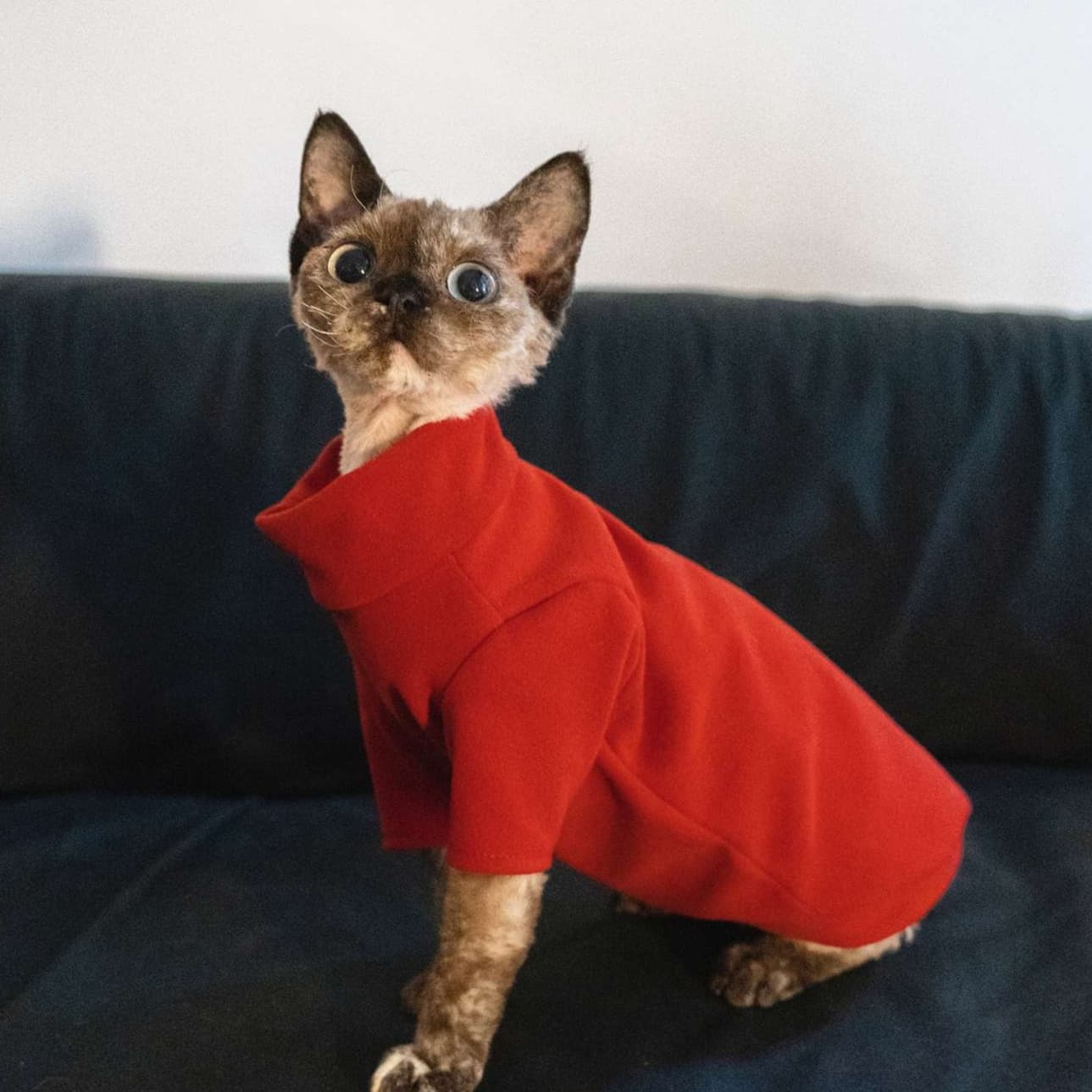 猫服  防寒服 | もこもこあったか猫ちゃんタートル