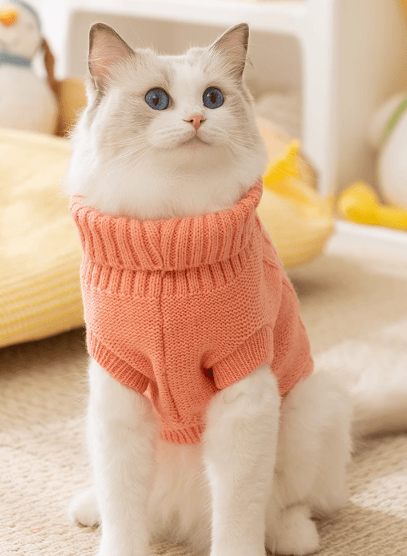 猫服  防寒服 | もふもふ猫ちゃんニットウェア