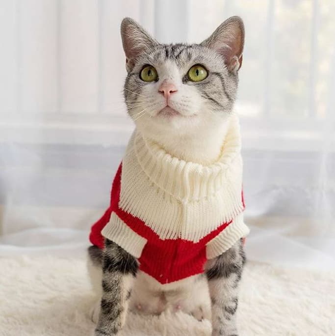 猫服  防寒服 | ふわもこクリスマスニットウェア