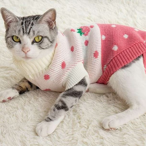 猫服  防寒服 | ふわもこクリスマスニットウェア