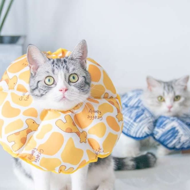 猫服 猫 エリザベスカラー | もふもふペット用首枕エリザベスカラー