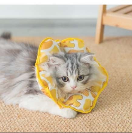 猫服 猫 エリザベスカラー | もふもふペット用首枕エリザベスカラー