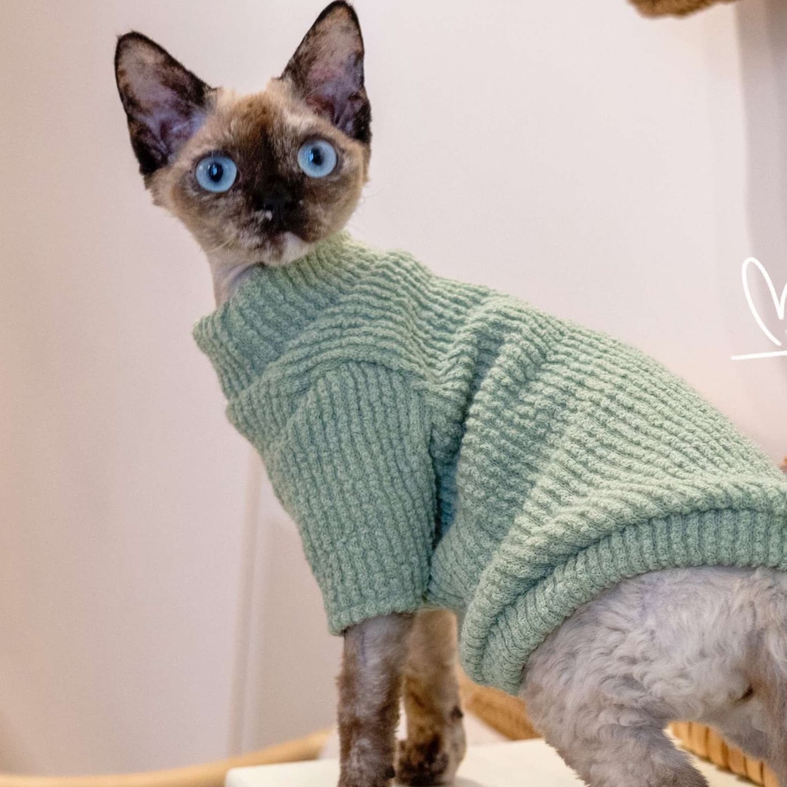 猫服  防寒服 | 猫ちゃんの冬ぬくぬくニットセーター