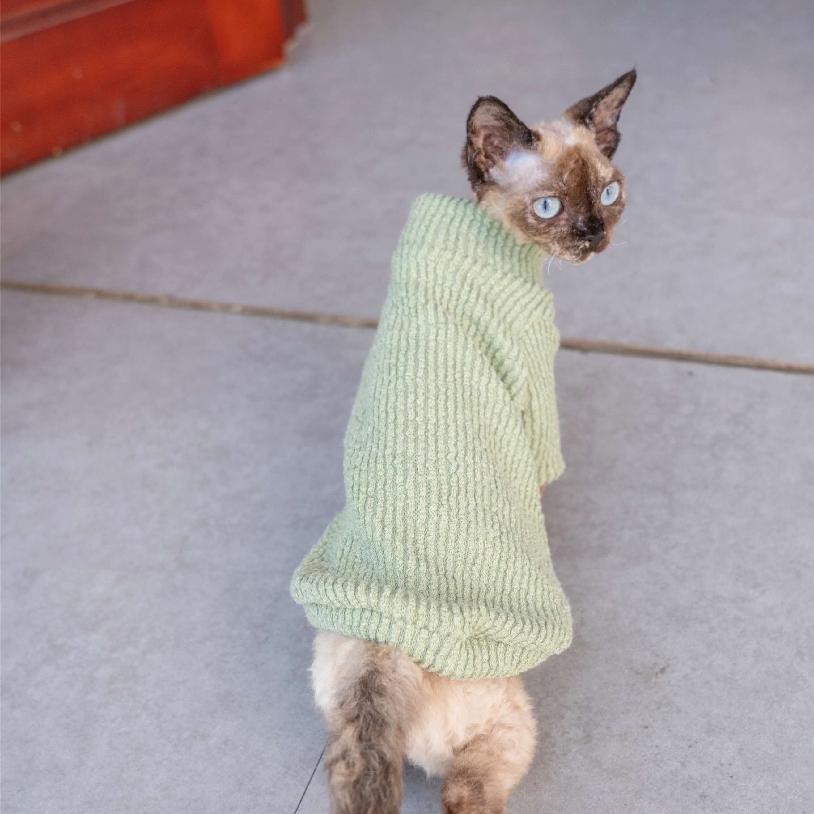 猫服  防寒服 | 猫ちゃんの冬ぬくぬくニットセーター