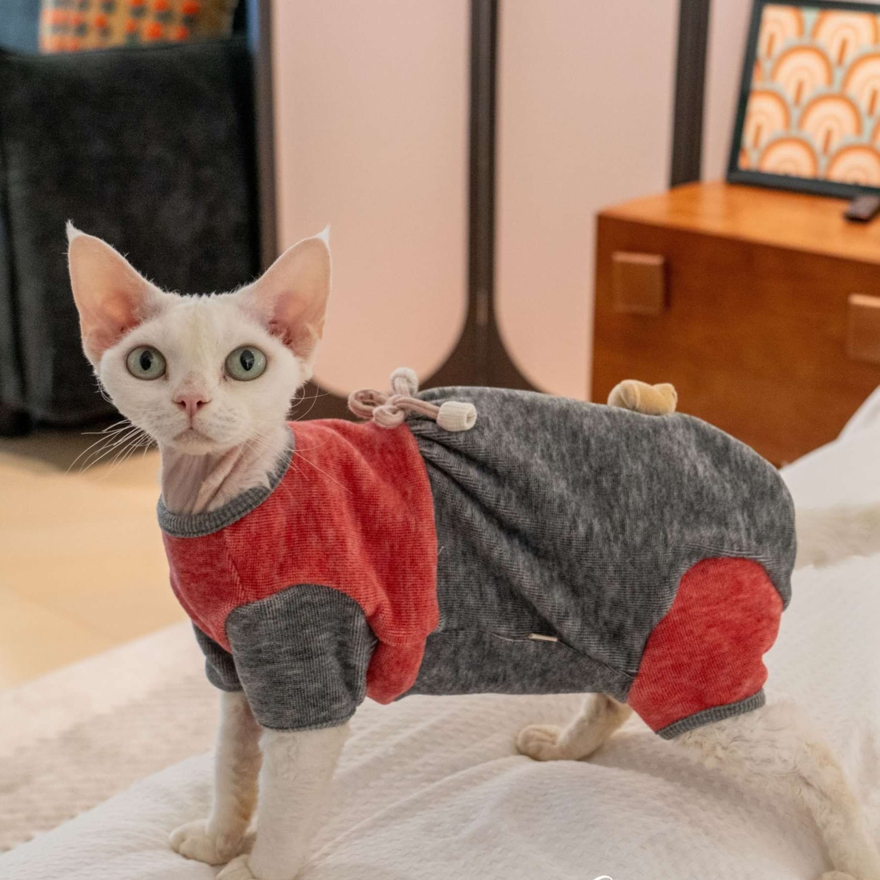 猫服  防寒服 | もこもこキャットロンパース