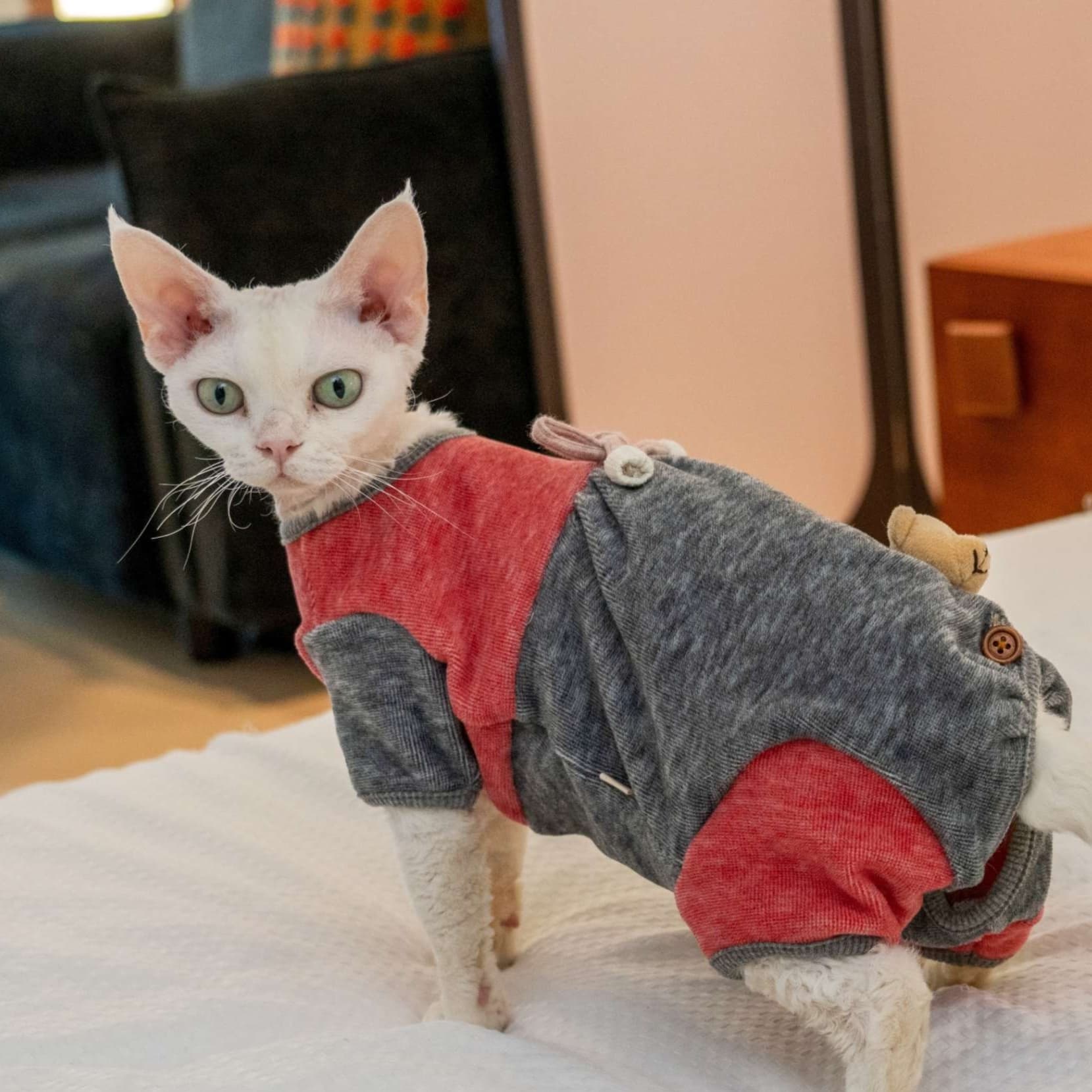 猫服  防寒服 | もこもこキャットロンパース