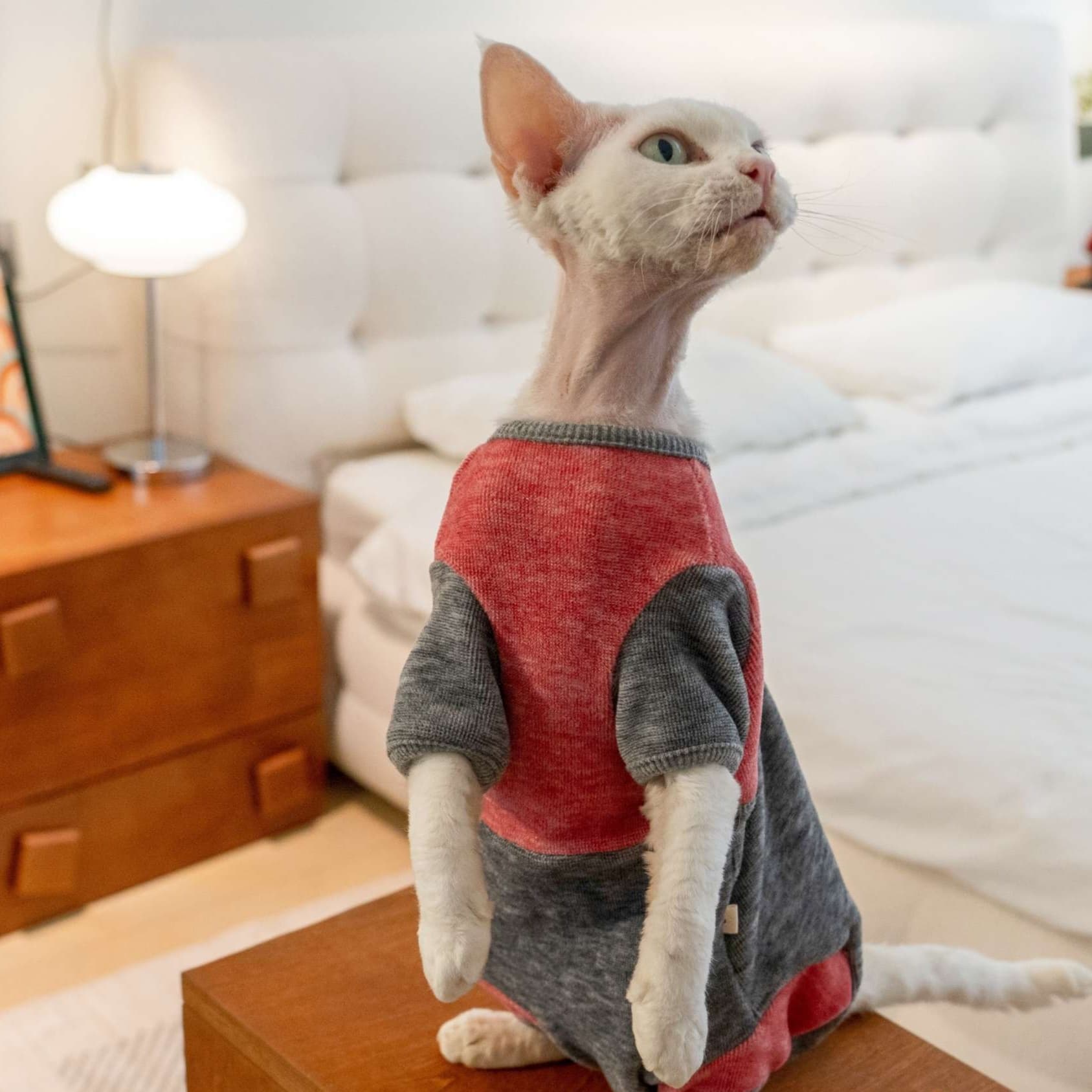 猫服  防寒服 | もこもこキャットロンパース