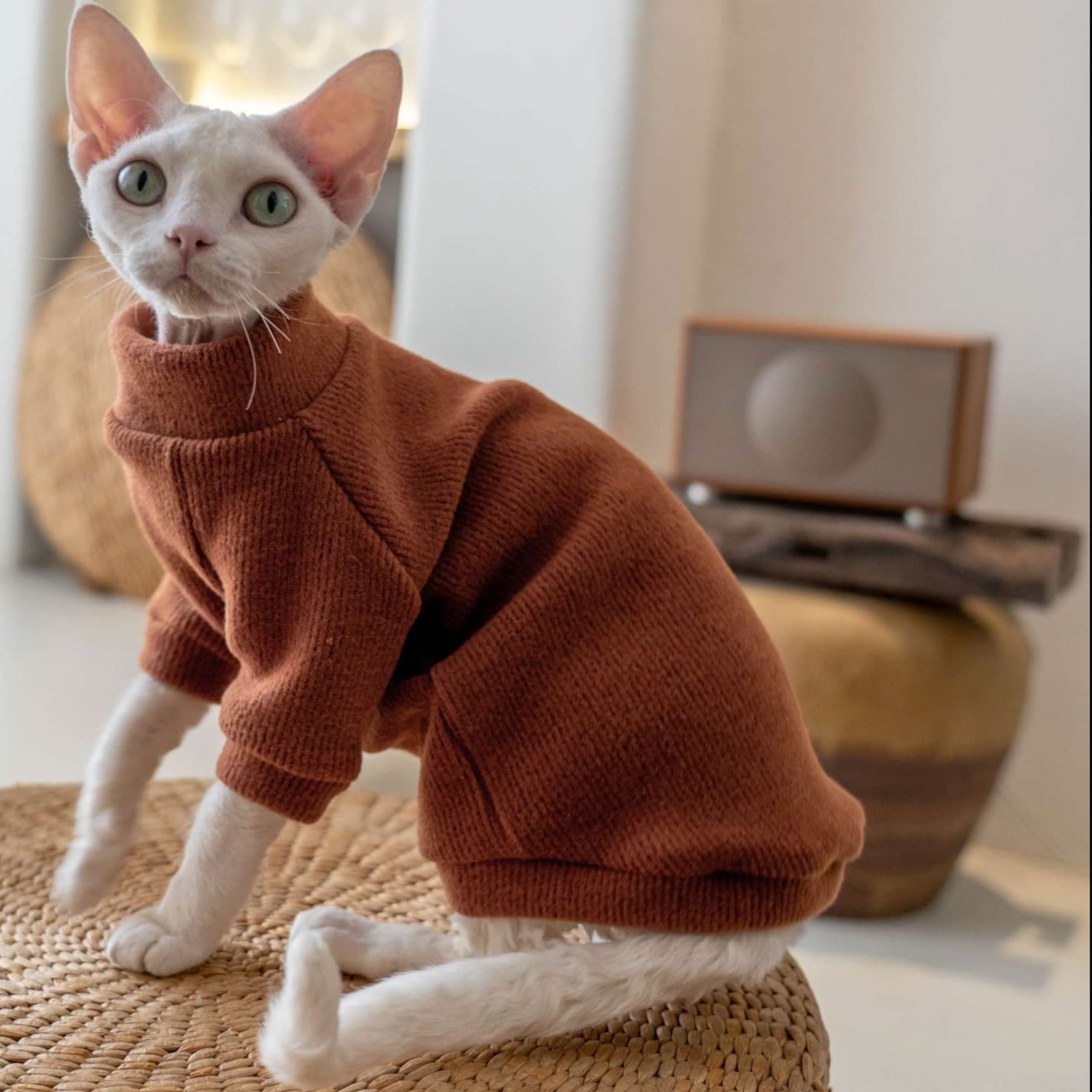 猫服  防寒服 | もこもこ猫ちゃんタートルネック