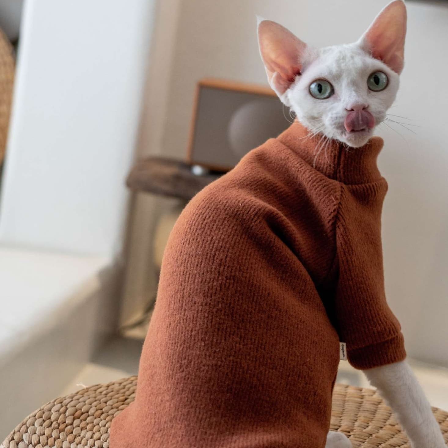 猫服  防寒服 | もこもこ猫ちゃんタートルネック