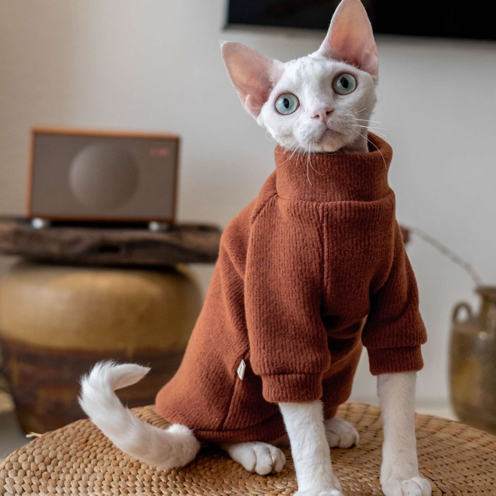 猫服  防寒服 | もこもこ猫ちゃんタートルネック