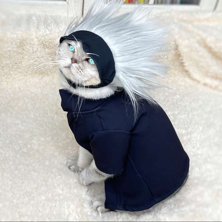 猫服  コスプレ | にゃんこ忍者変身セット