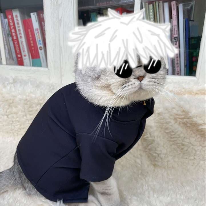 猫服  コスプレ | にゃんこ忍者変身セット