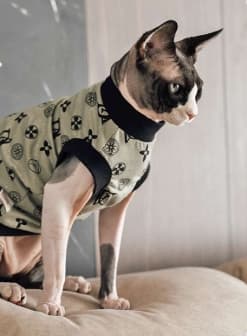 猫服  スフィンクス | もこもこ猫ちゃんあったかウェア