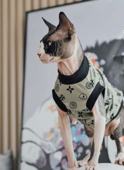 猫服  スフィンクス | もこもこ猫ちゃんあったかウェア