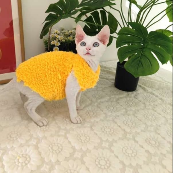 猫服  スフィンクス | モコモコあったかスフィンクスキャットウェア