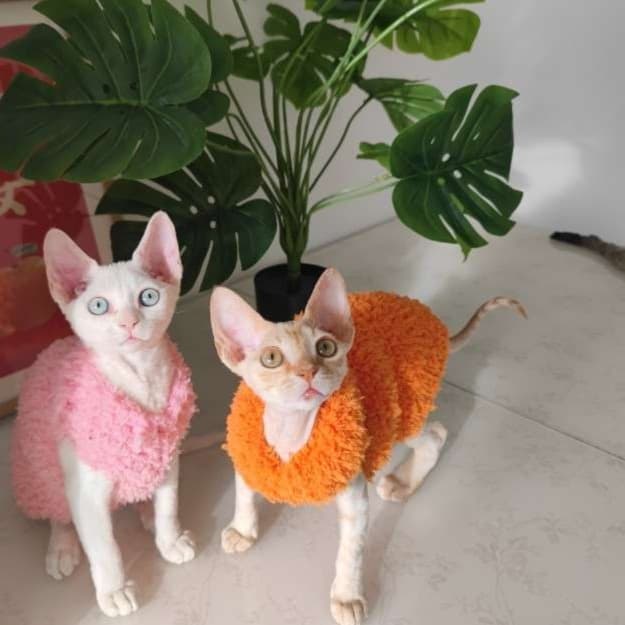 猫服  スフィンクス | モコモコあったかスフィンクスキャットウェア