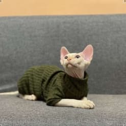 猫服  スフィンクス | スフィンクスの秋冬ニットウェア