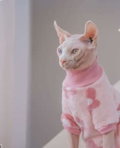 猫服  スフィンクス | もこもこ癒しの猫パーカー