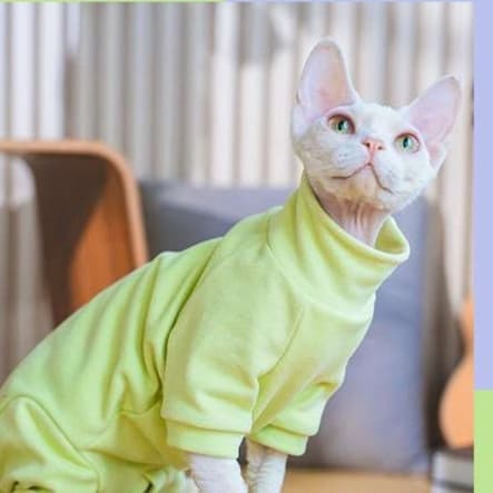 猫服  スフィンクス | もこもこパーカー