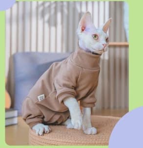 猫服  スフィンクス | もこもこパーカー