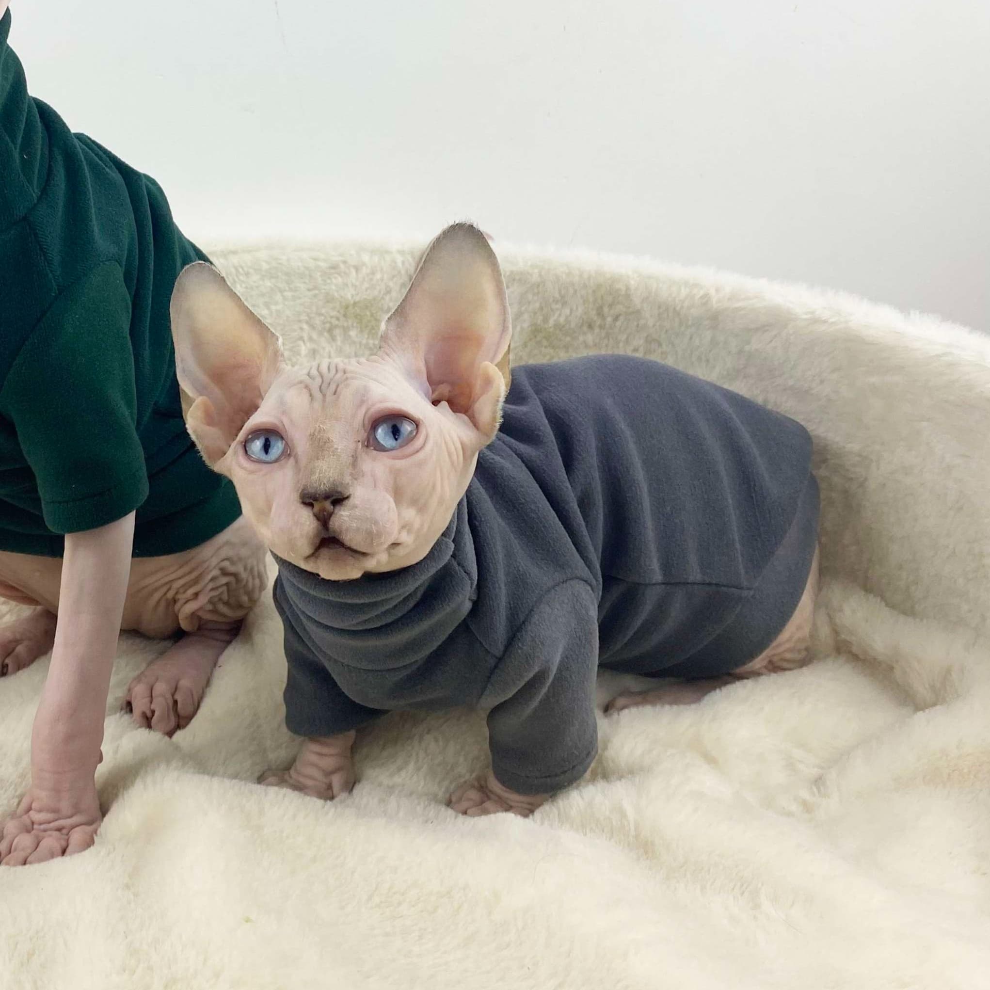猫服  スフィンクス | スフィンクス専用あったかにゃんこウェア