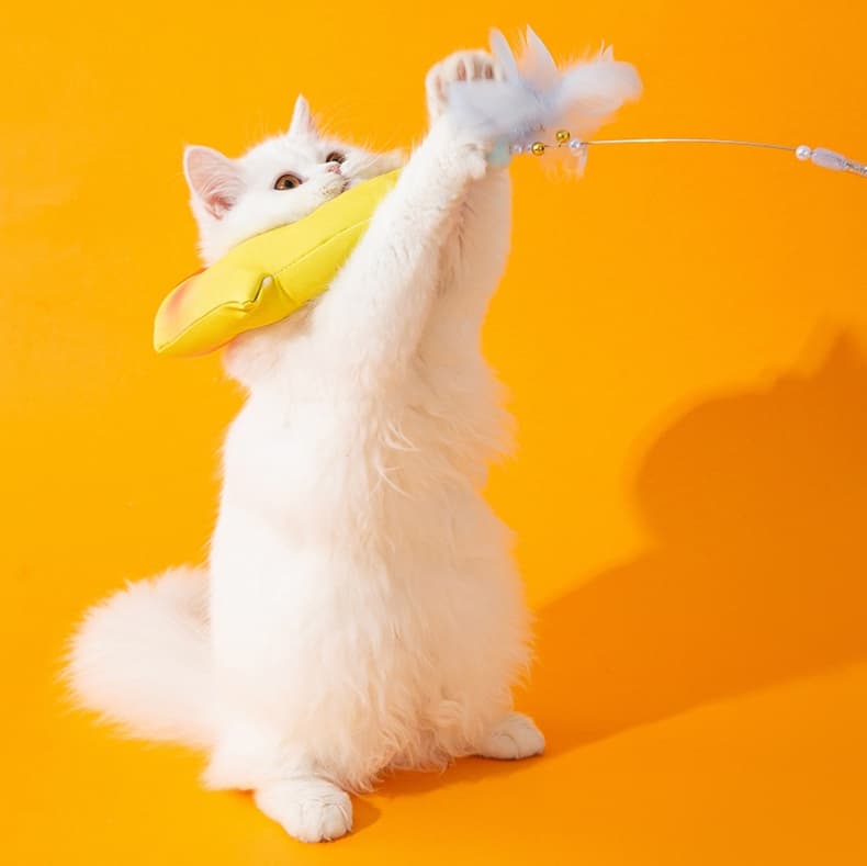 猫服 猫 エリザベスカラー | かわいいアヒルのエリザベスカラー