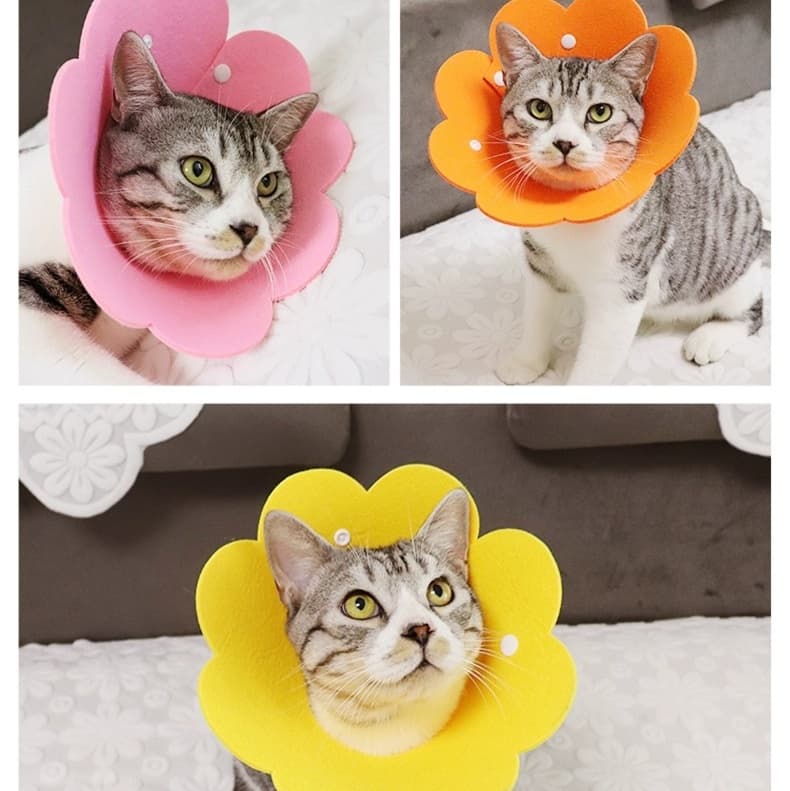 猫服 猫 エリザベスカラー | お花型ふんわりエリザベスカラー