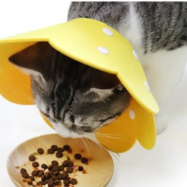 猫服 猫 エリザベスカラー | お花型ふんわりエリザベスカラー