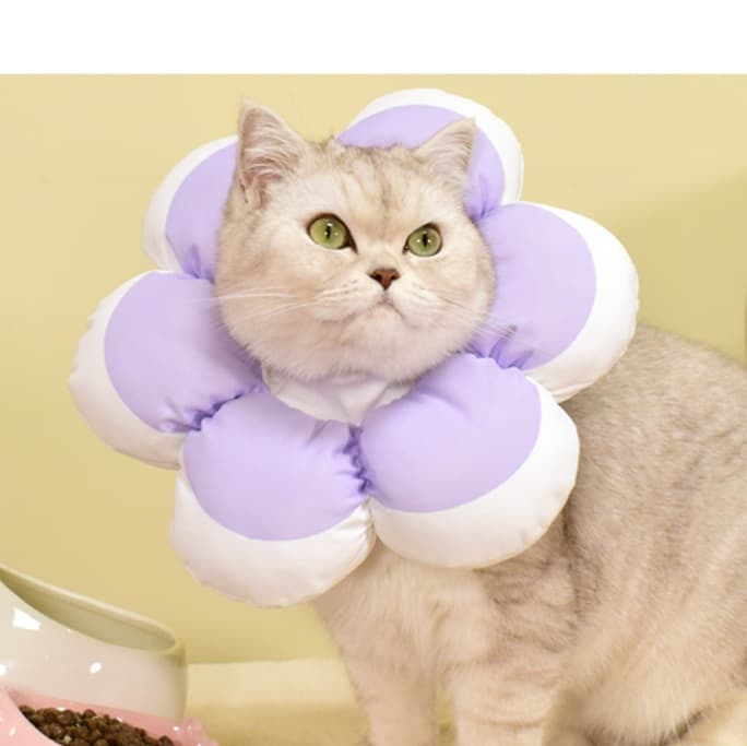 猫服 猫 エリザベスカラー | お花の形の癒やしカラー