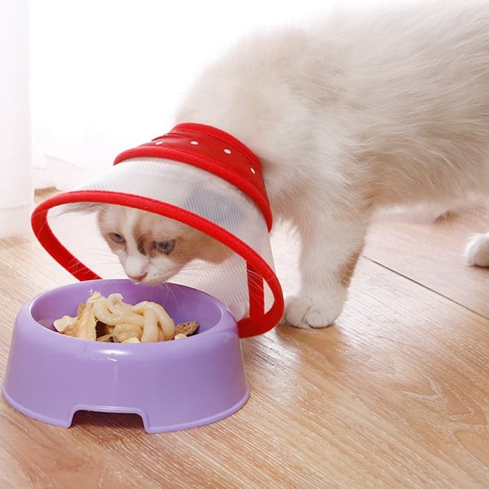 猫服 猫 エリザベスカラー | やさしい着け心地 ペット用手術後ウェア