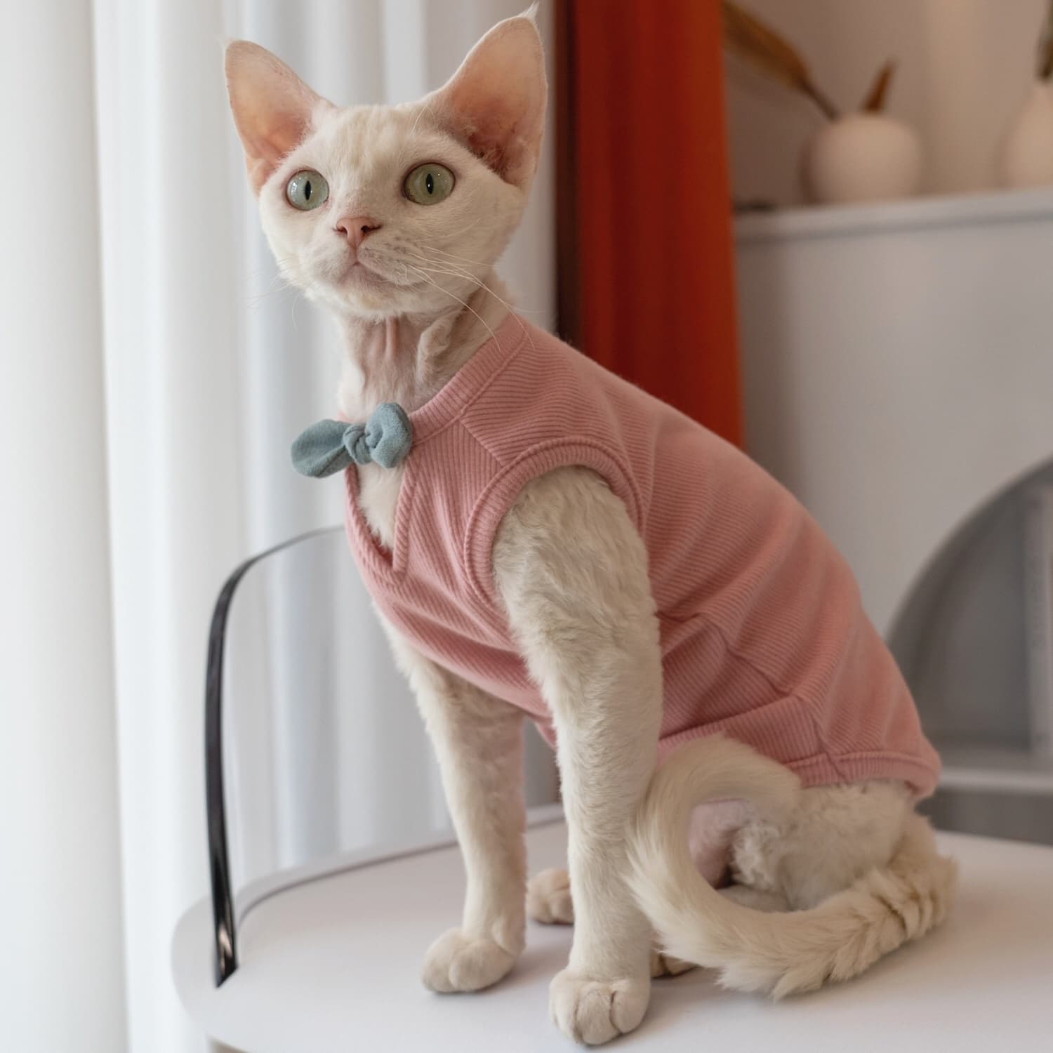 猫服  洋服 | リボン付きリブベスト