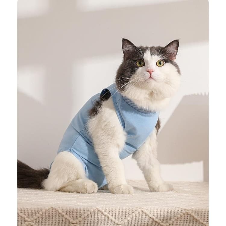 猫服  洋服 | やわらか着心地のタートルネック