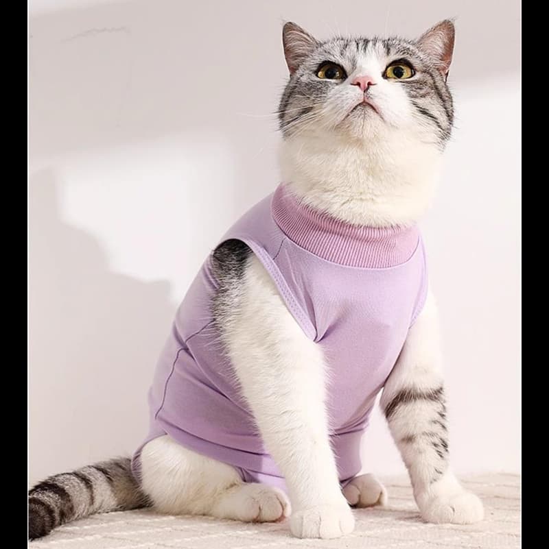 猫服  洋服 | やわらか着心地のタートルネック