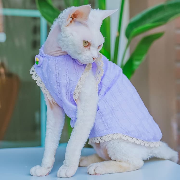 猫服  洋服 | うすぎぬのレース飾り姫袖ワンピース