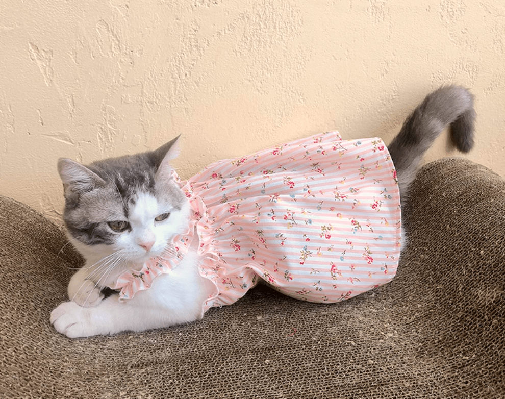 猫服  洋服 | 洋服 | お花畑のふんわりワンピース